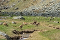 DSC00192-Modifier