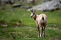 _D751687-Modifier
